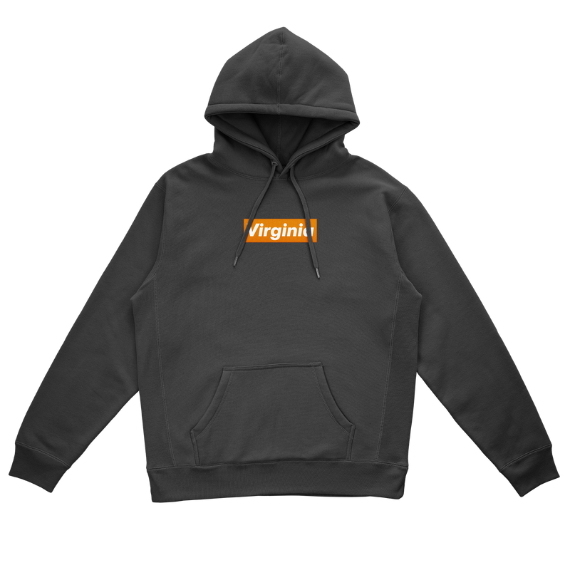 Virginia Box Logo Heavyweight Hoodie